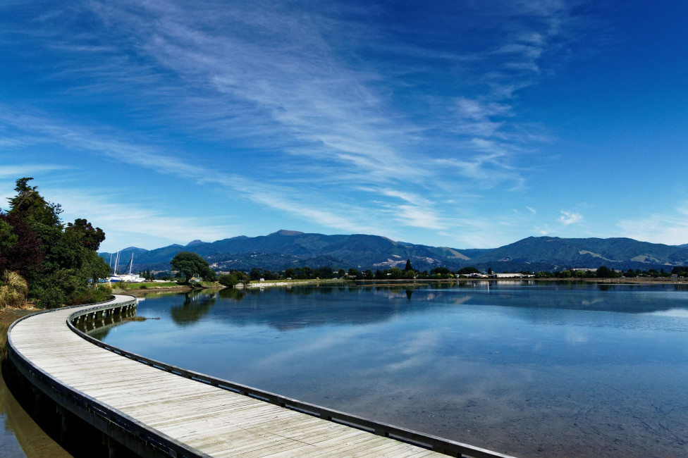 Motueka Estuary Boardwalk sml